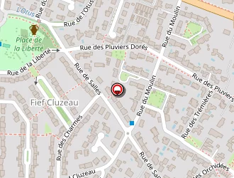 Carte de Nat'création Coiffure à Jarne (la)