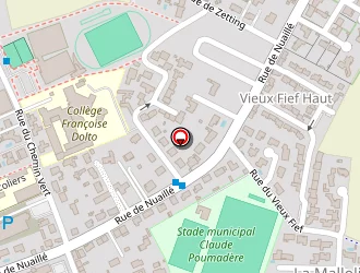 Carte de Vaz Michaël à Jarrie (la)