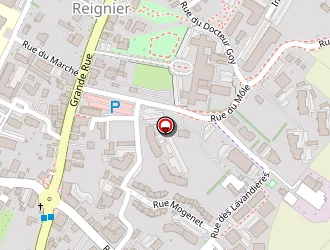 Carte de Falconnet Lionel à Reignier