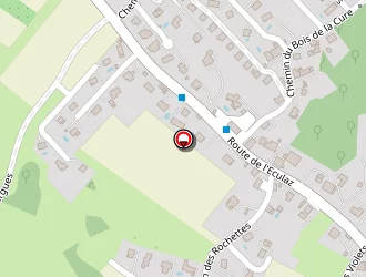 Carte de Thoreau à Reignier esery