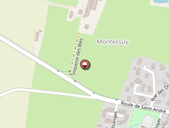 Carte de Villemaine Patrick à Servas