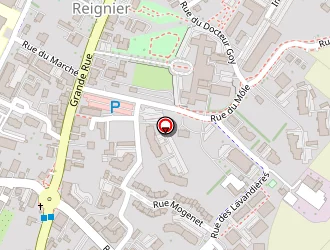 Carte de Chevallier David à Reignier esery