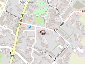 Carte de Falconnet Lionel à Reignier esery