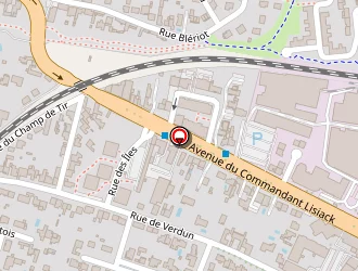 Carte de Manier (snc) à Aytré