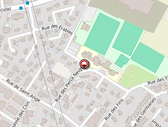 Carte de Raine Daniel à Reignier esery