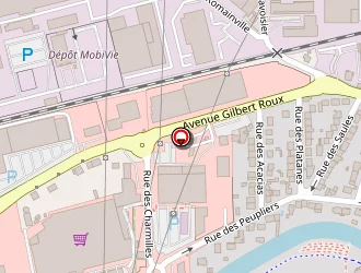 Carte de Babou à Cusset