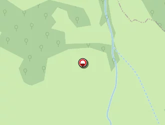 Carte de Chamberaud Roger à Cressat