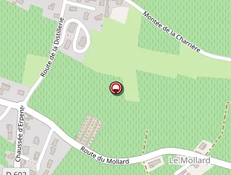 Carte de Laissus André à Régnié-durette