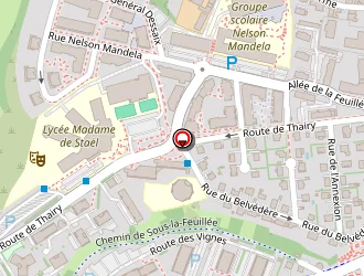 Carte de Boinot Clémence à Saint-julien-en-genevois