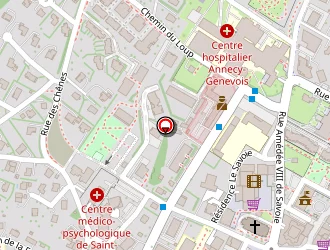 Carte de Taxi Bouchard à Neydens