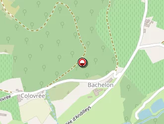 Carte de Munier Hubert à Beaujeu