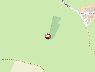 Carte de Pascal Thion à Saint-didier-sur-beaujeu