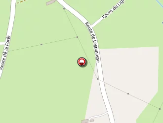 Carte de Des Belins (gaec) à Saint-forgeux-lespinasse