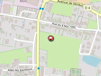 Carte de Bertrand Richard à Briennon