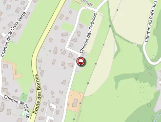 Carte de Bukvic Maksim à Monnetier-mornex