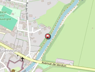 Carte de Chaize Bernard à Briennon