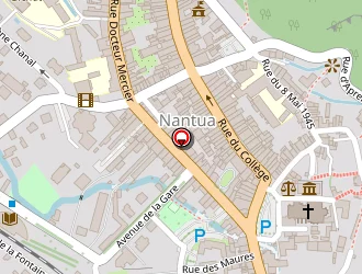 Carte de La Cascade à Nantua