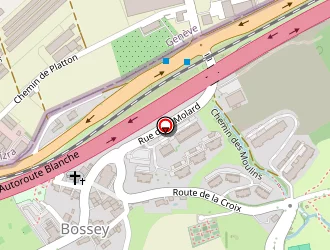 Carte de Ecole Primaire à Bossey