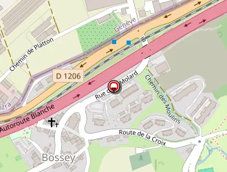 Carte de Mairie à Bossey