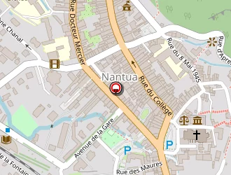 Carte de Capy Services à Nantua