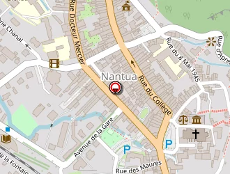 Carte de Prost Gilles à Nantua