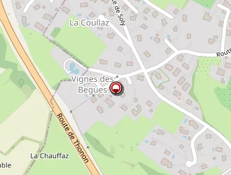 Carte de Pro'nett à Fillinges