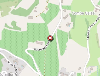 Carte de Large Patrick à Beaujeu