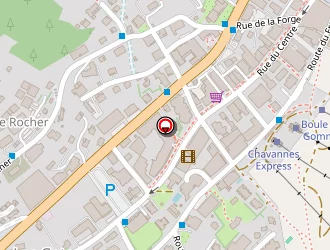 Carte de Largilliere Stéphane à Gets (les)