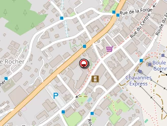 Carte de Mugnier Michel à Gets (les)