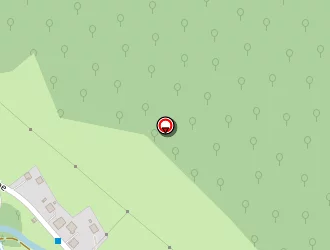 Carte de Gali Ali à Morzine