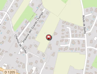 Carte de Peguet Grégory à Nangy