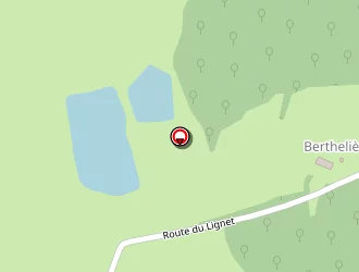 Carte de Lacombe Jérôme à Saint-forgeux-lespinasse