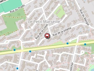 Carte de Société Rochelaise Diffusion Automobile à Rochelle (la)