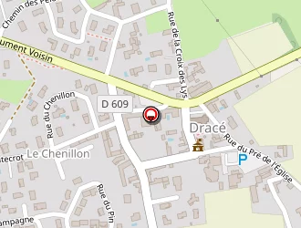 Carte de Terrier David à Dracé