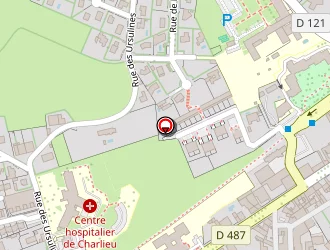 Carte de Cheminées Cpr à Charlieu