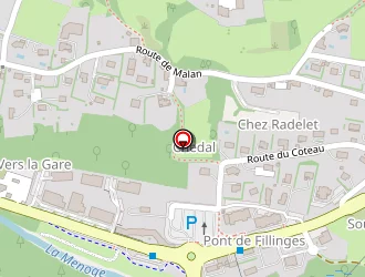 Carte de Sallaz Michel à Fillinges