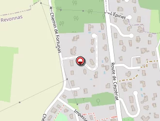 Carte de Richier Georges à Revonnas