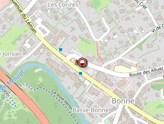 Carte de Gonin Maud à Bonne