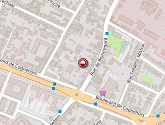 Carte de Rat Katia à Rochelle (la)