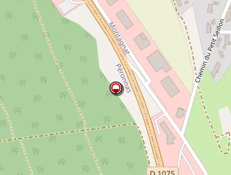 Carte de Patrick Pneu à Montagnat