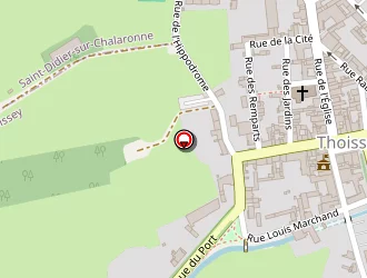 Carte de Mbr Gestion à Thoissey