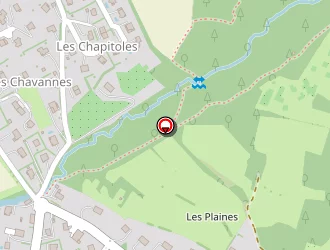 Carte de Grivaz Michaël à Bonne