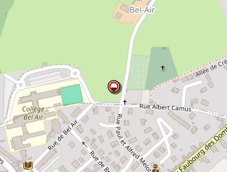 Carte de Perraud Didier à Thoissey