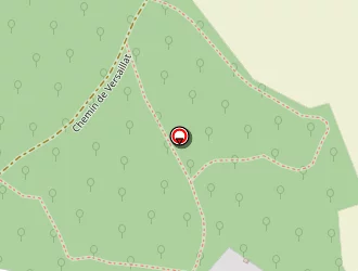 Carte de Bouvard Eric à Montagnat