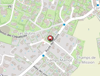 Carte de Bouassane Mohamed à Vétraz-monthoux