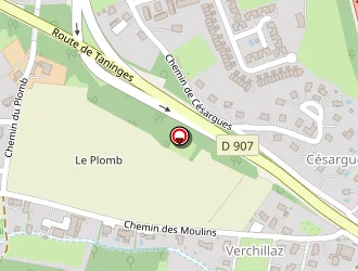 Carte de Cally Dominique à Cranves-sales