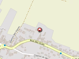 Carte de Loreau Catherine à Vérines