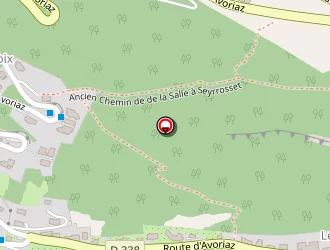 Carte de Bron Camille à Morzine