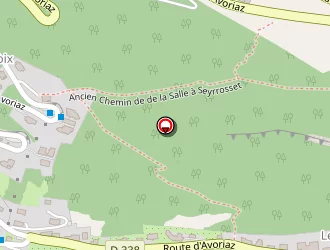 Carte de Snomytrees à Morzine