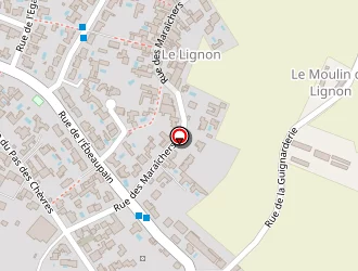 Carte de Lepinoux Iris à Lagord